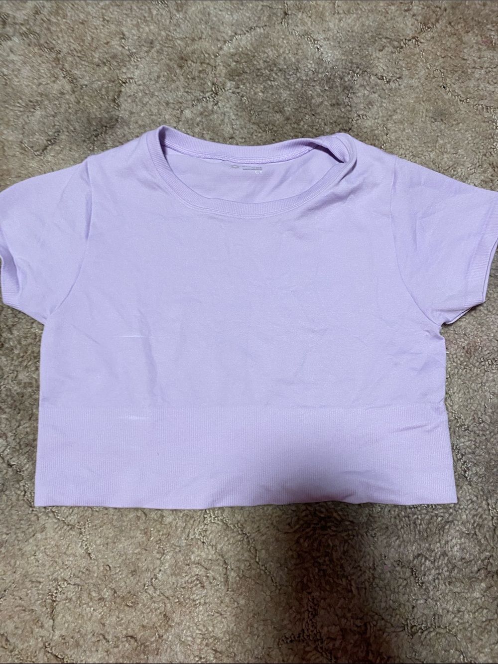 aerie Lavender Crewneck Crop Tee